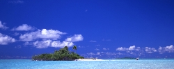 wp_n1_1280.jpg
